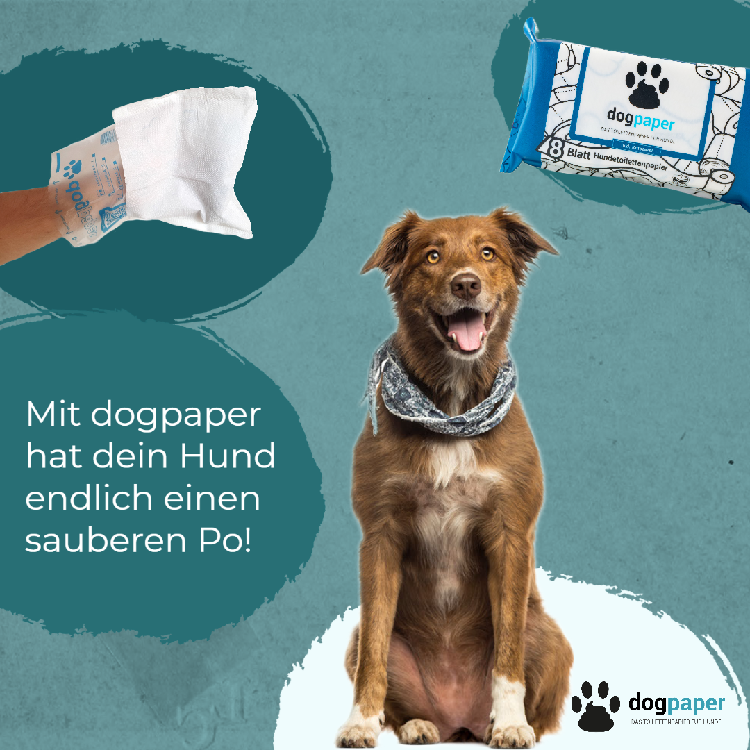 Dog shop bottom wipes