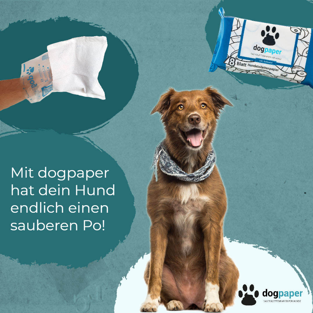 Mit dogpaper hat dein Hund endlich einen sauberen Po – Hundekotbeutel mit Hundetoilettenpapier