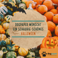 Spaziergang? Nur mit dogpaper