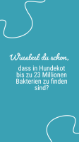 Wusstest du schon..