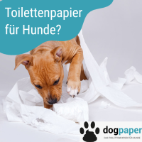 Toilettenpapier für hunde